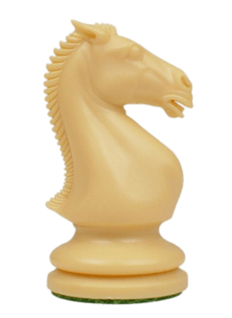 Chess Knight