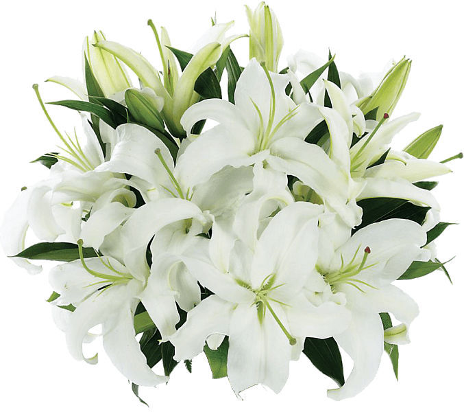 Tight Bouquet Of Lilies