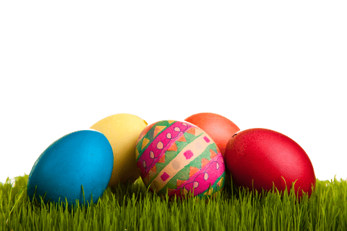 Easter Eggs On Grass