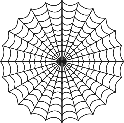 Very Large Symmetrical Spider Web