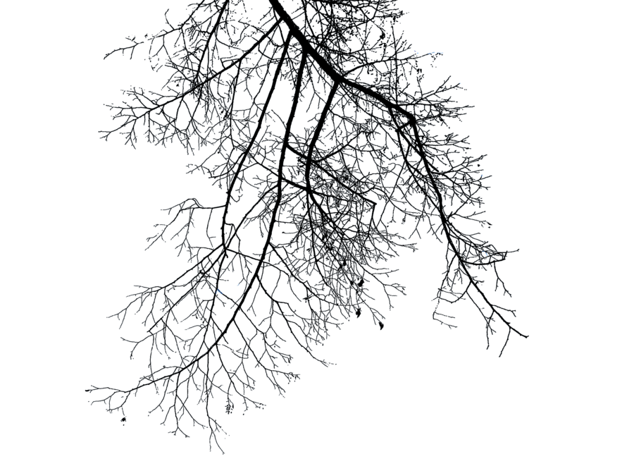 Branch Deco Up Light