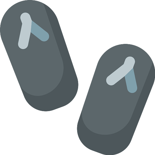 Flip Flop Tongs Icon