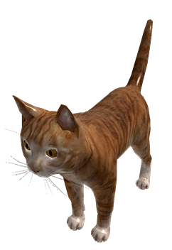 Roblox Ginger Cat