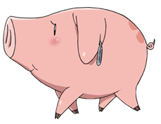 Hawk the Seven Deadly Sins