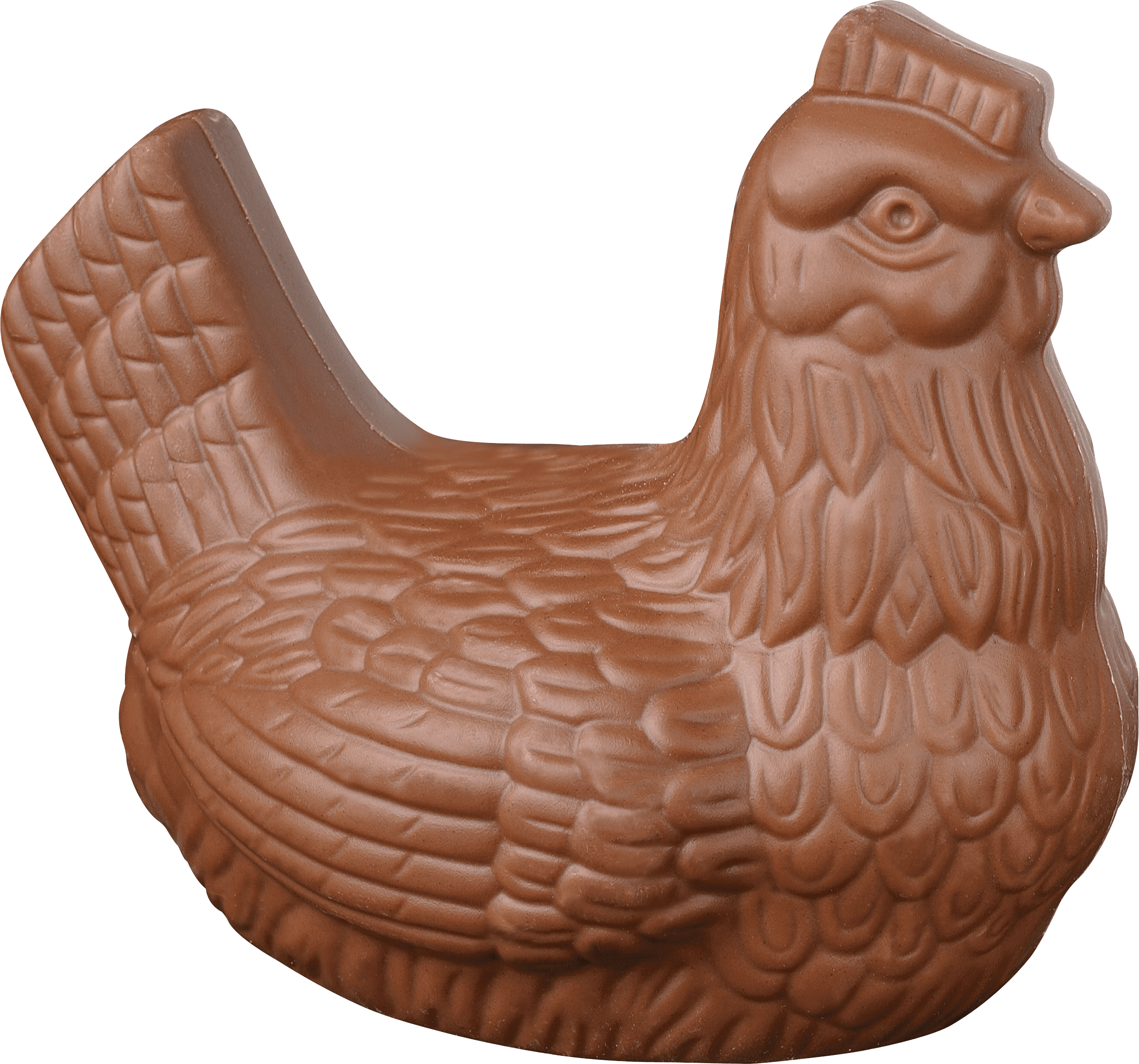 Chocolate Chicken