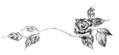 Black Flower Divider