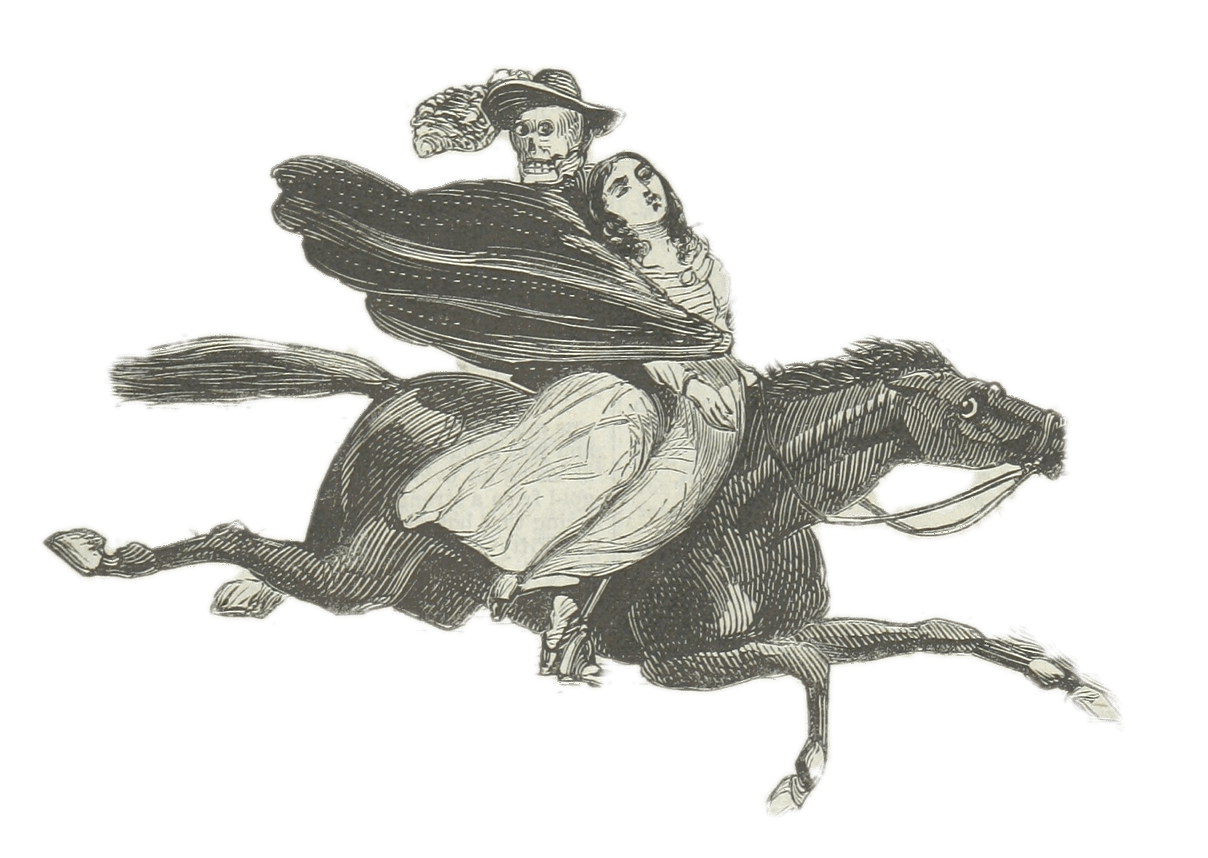 The Skeleton Horseman, the Shadow of Death