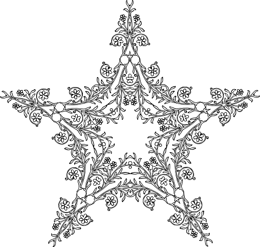 Star Shaped Snow Flake