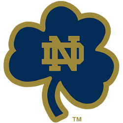 Notre Dame Fighting Irish alternate 