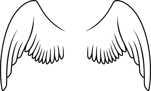 Outline of Wings