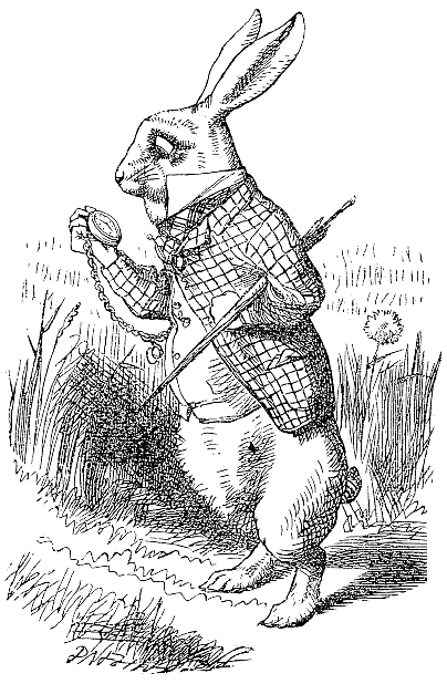 Alice In Wonderland Rabbit