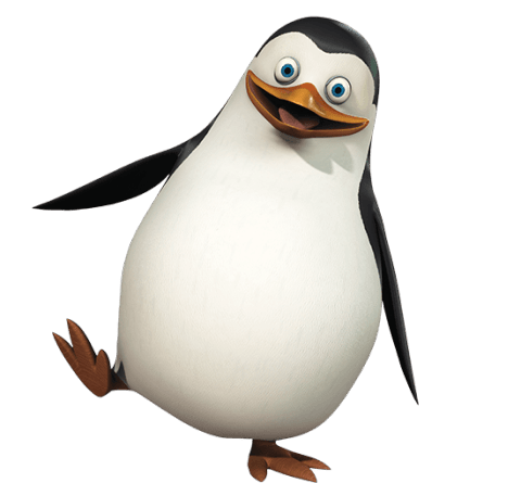 Madagascar Penguin Private