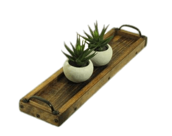 Two Succulent Plants on Wooden Tray