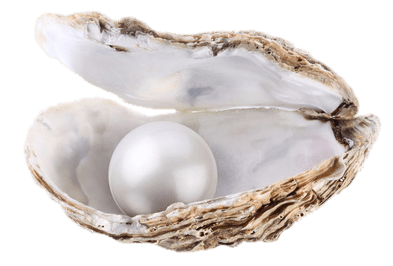 Large Pearl In Oyster