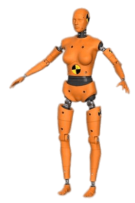 Female Crash Test Dummy