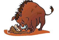 North Efate Bushpigs Cricket Club 