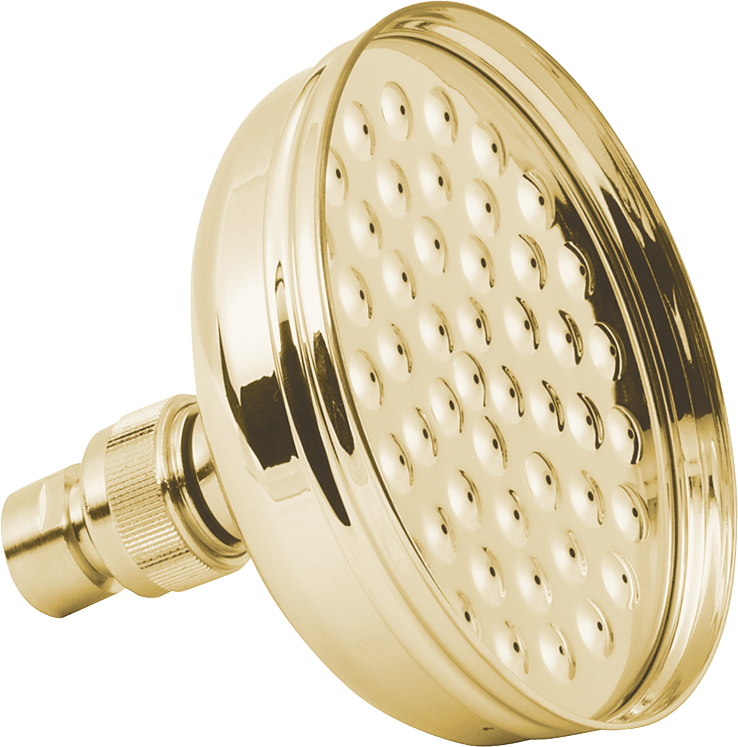 Gold Shower Head
