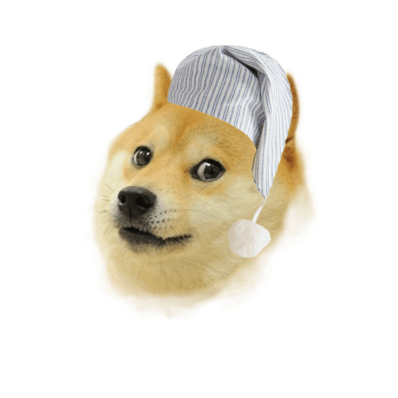 Sleepy Doge
