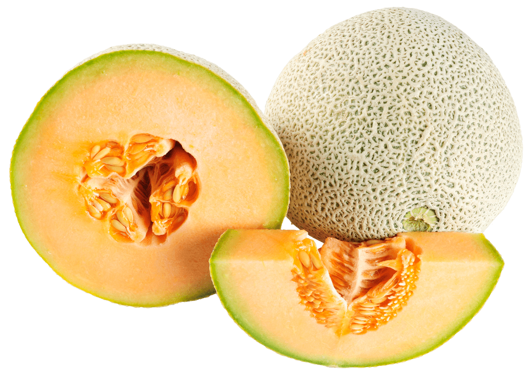 Melon Duo