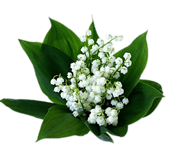 Lily of the Valley Bouquet