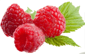 Leaves and Raspberries