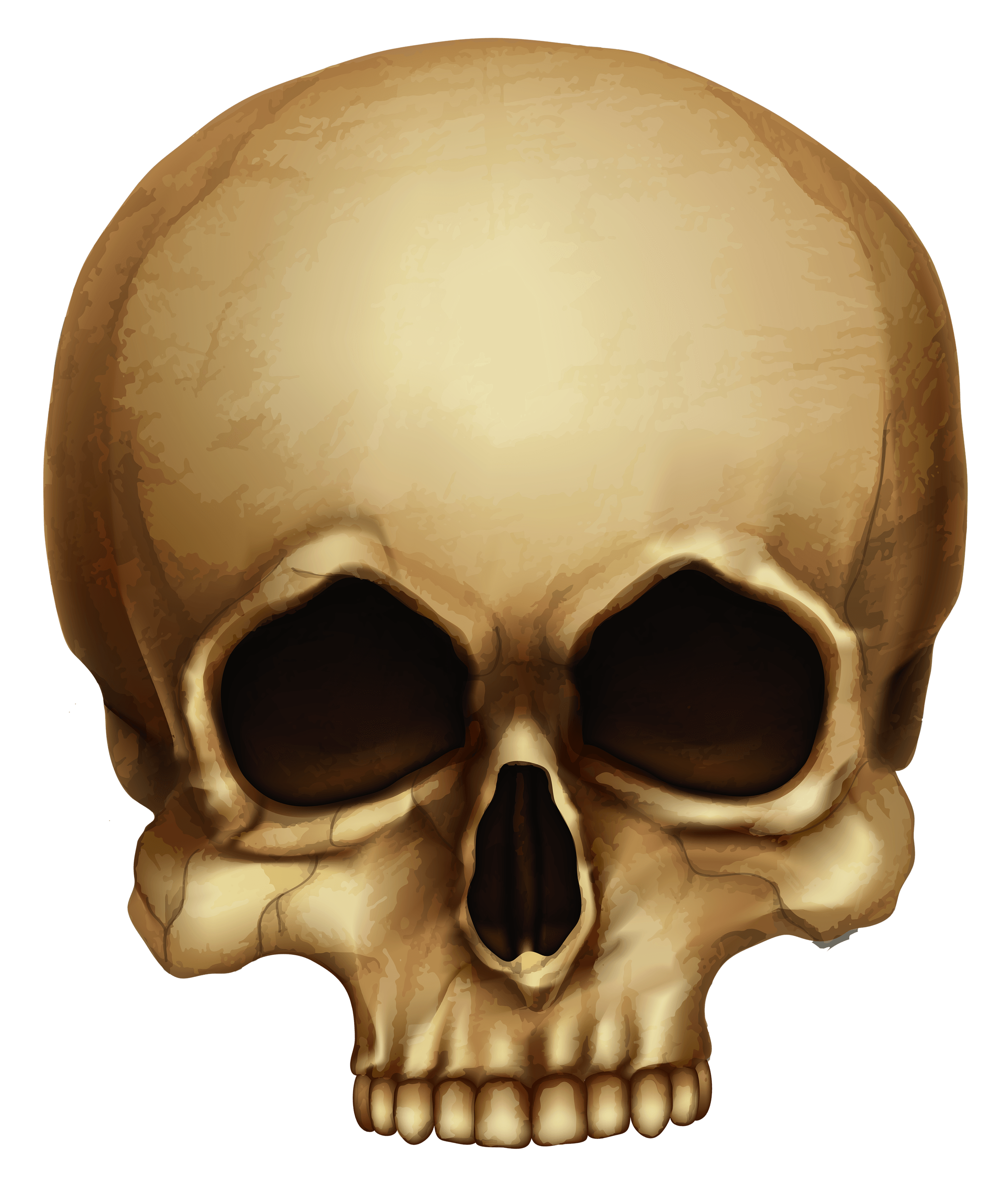 Brown Skull Small