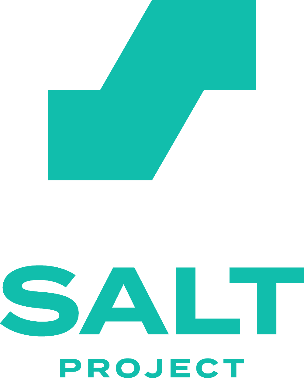 Salt Project full 