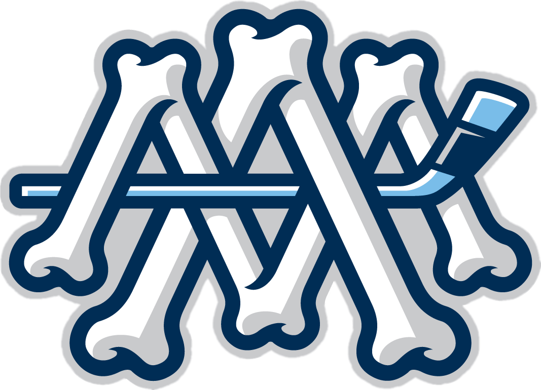 Milwaukee Admirals Alternate 