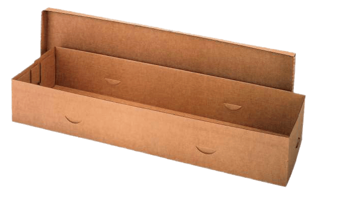 Cardboard Coffin