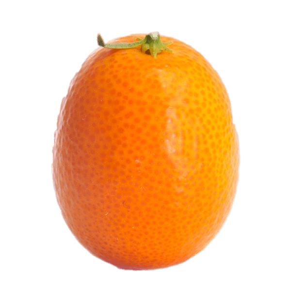 Whole Kumquat