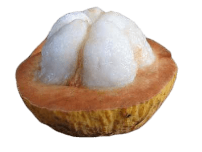 Opened Santol Fruit