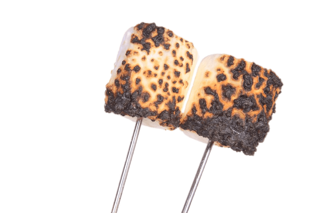 Burnt Marshmallows on Stick