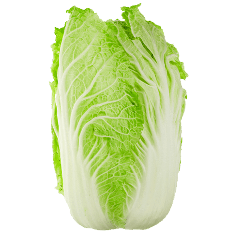 Wombok Chinese Cabbage