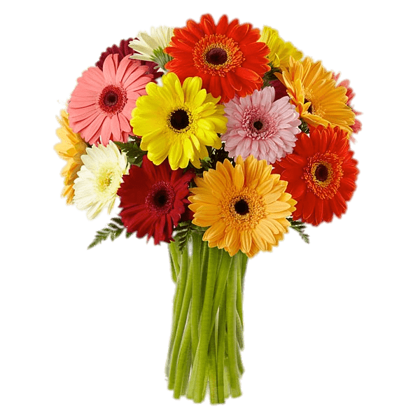 Bouquet Of Coloured Gerberas
