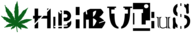 Hibibulius