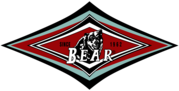 Bear Surf Boards