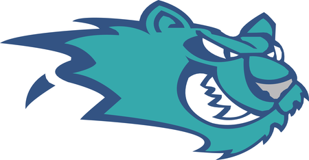 Worcester Icecats