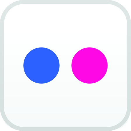 Flickr Icon