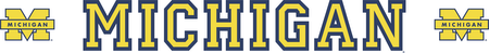 Michigan Wolverines