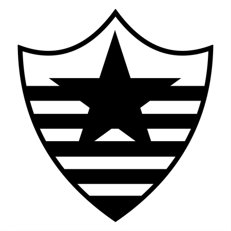 Botafogo Esporte Clube De Teresina Pi