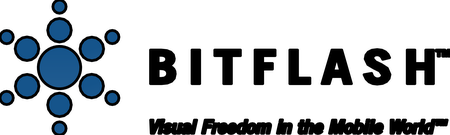 BitFlash 43456