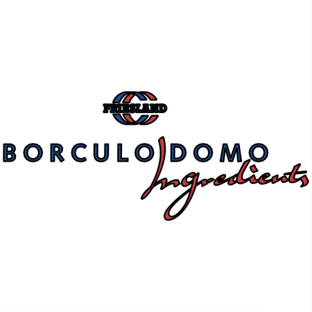 Borculo Domo