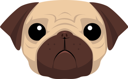 Pug