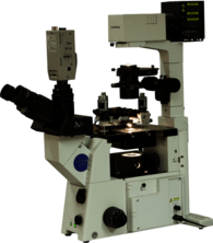 Certus Optic Atomic Force Microscope