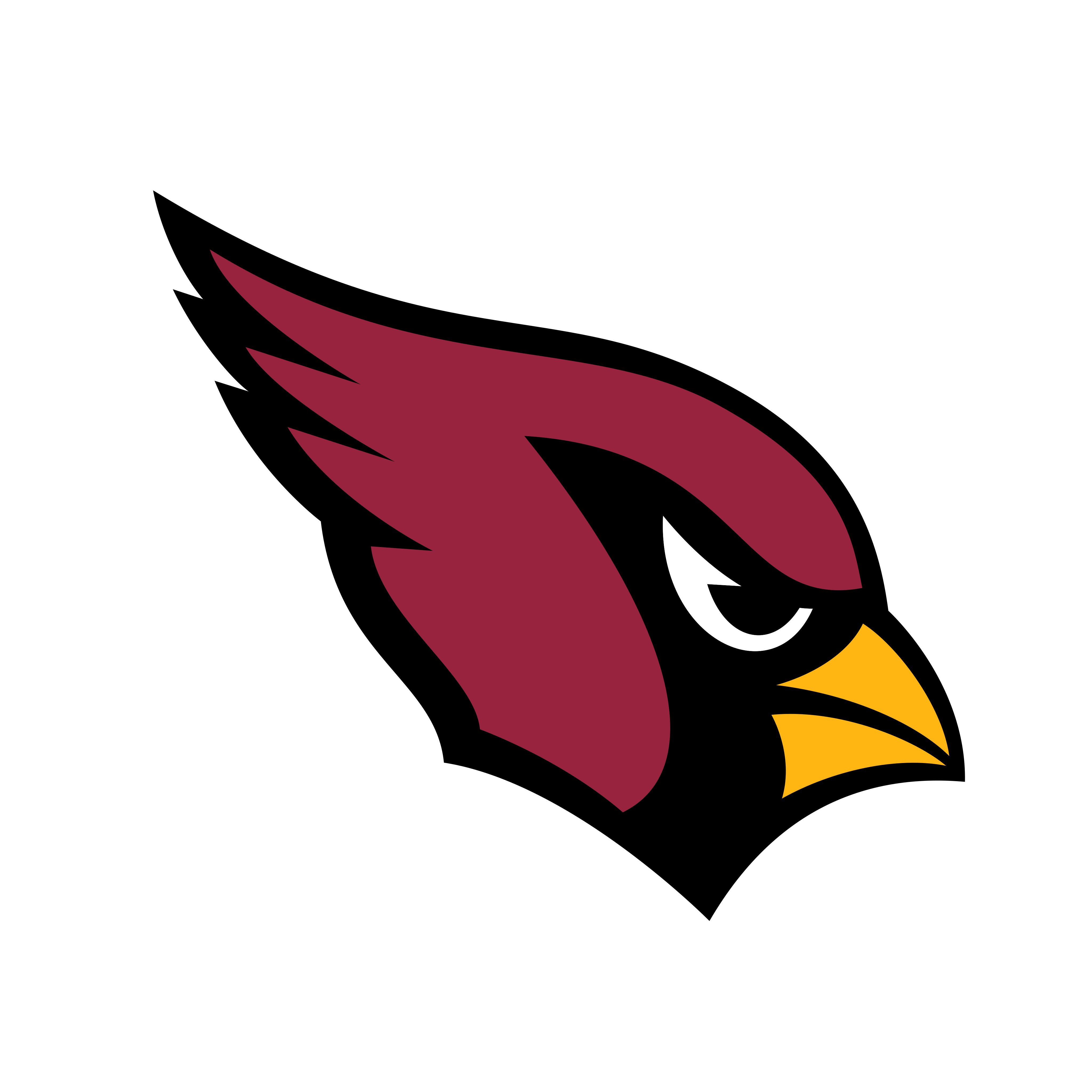 Arizona Cardinals