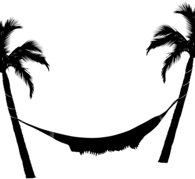 Hammock and Palm Trees