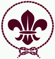 peristaltic movement