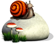 Snail on A Rock