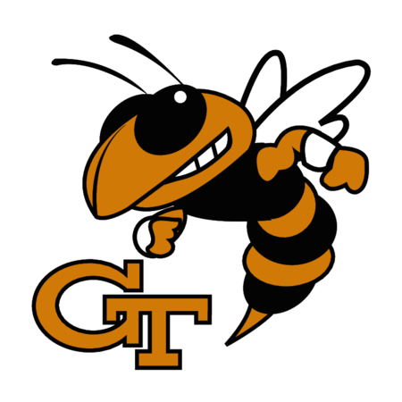 Georgia Tech Yellowjackets