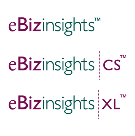 eBizinsights